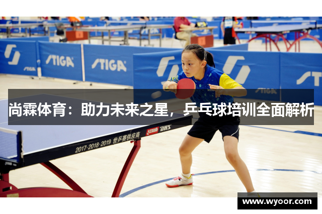 尚霖体育：助力未来之星，乒乓球培训全面解析